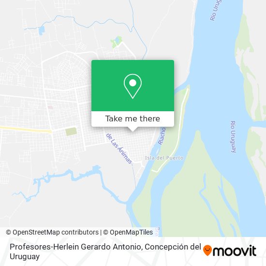Profesores-Herlein Gerardo Antonio map