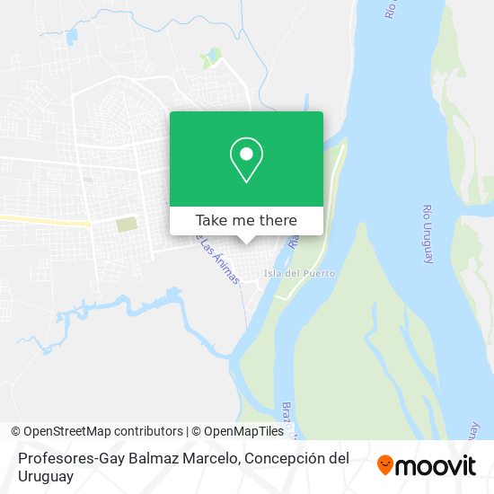 Profesores-Gay Balmaz Marcelo map