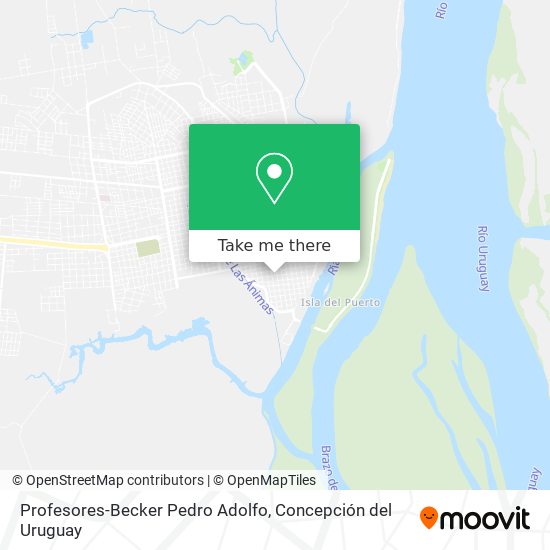 Profesores-Becker Pedro Adolfo map