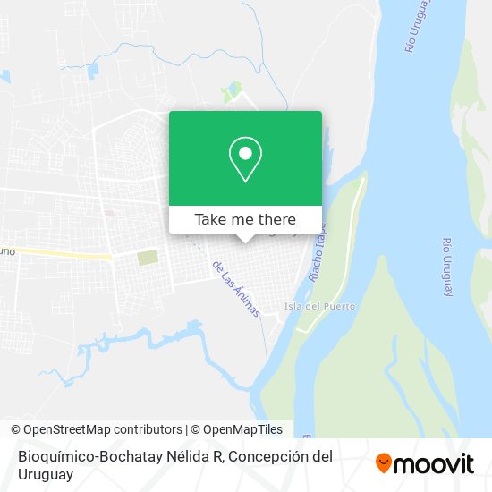 Bioquímico-Bochatay Nélida R map