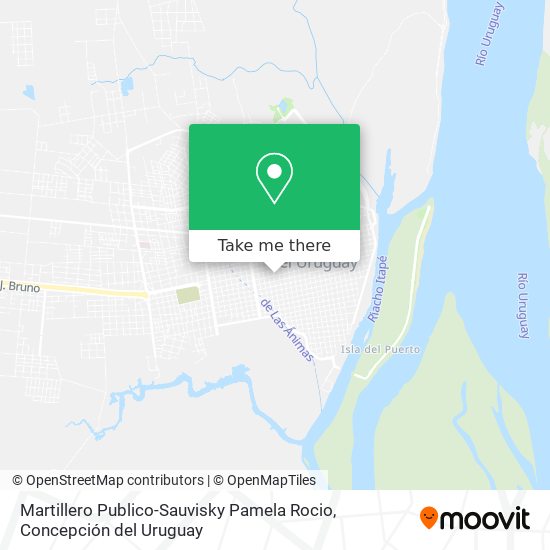 Martillero Publico-Sauvisky Pamela Rocio map