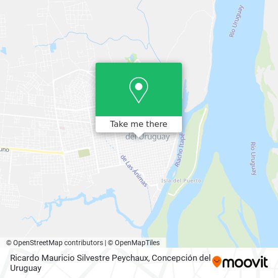 Ricardo Mauricio Silvestre Peychaux map