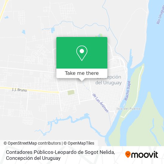 Contadores Públicos-Leopardo de Sogot Nelida map