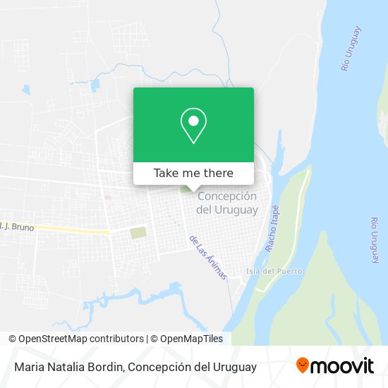 Mapa de Maria Natalia Bordin