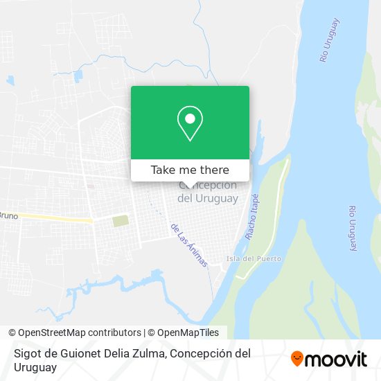 Sigot de Guionet Delia Zulma map