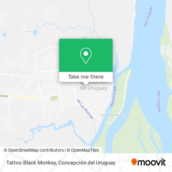 Mapa de Tattoo Black Monkey