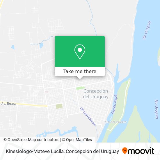 Mapa de Kinesiologo-Mateve Lucila