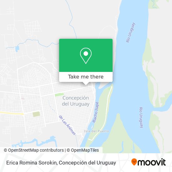 Mapa de Erica Romina Sorokin