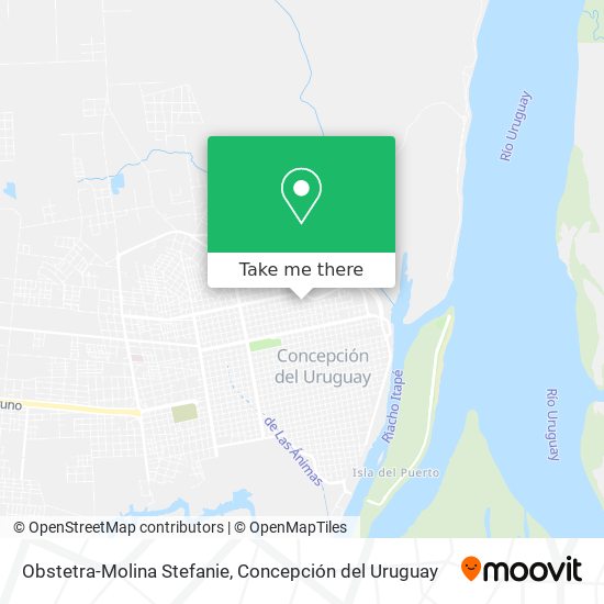 Mapa de Obstetra-Molina Stefanie