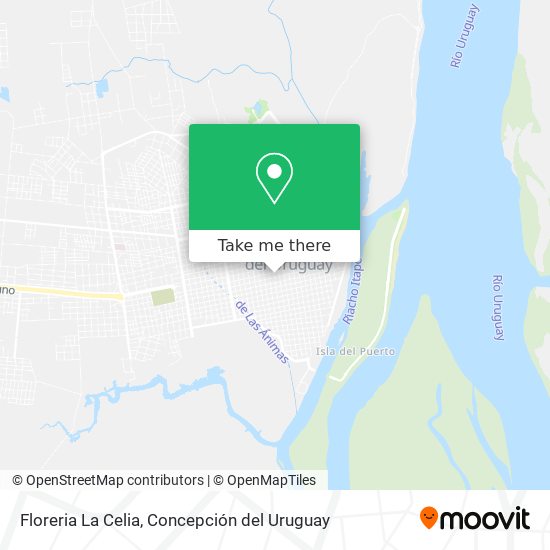 Floreria La Celia map