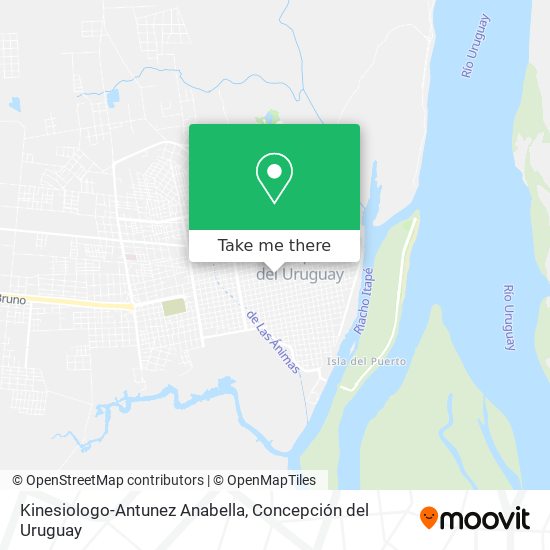 Kinesiologo-Antunez Anabella map