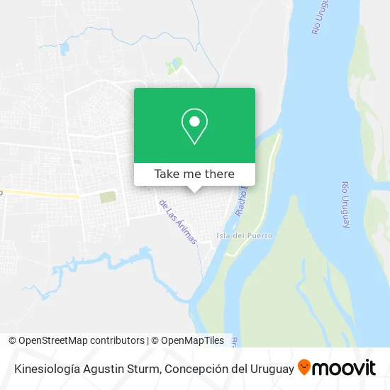 Mapa de Kinesiología Agustin Sturm