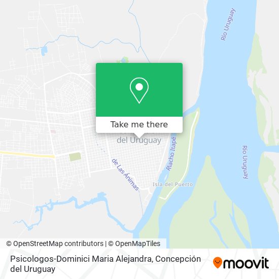 Psicologos-Dominici Maria Alejandra map