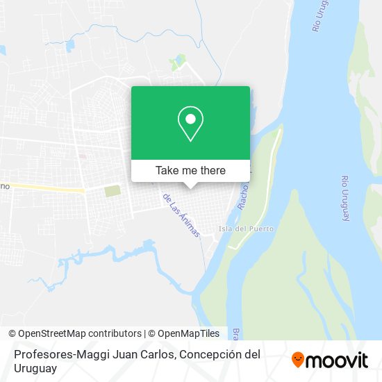 Profesores-Maggi Juan Carlos map