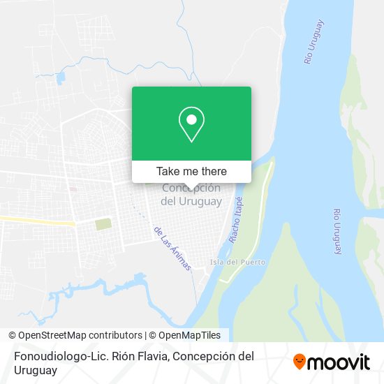 Fonoudiologo-Lic. Rión Flavia map