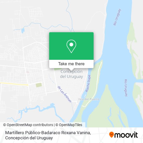 Martillero Público-Badaraco Roxana Vanina map