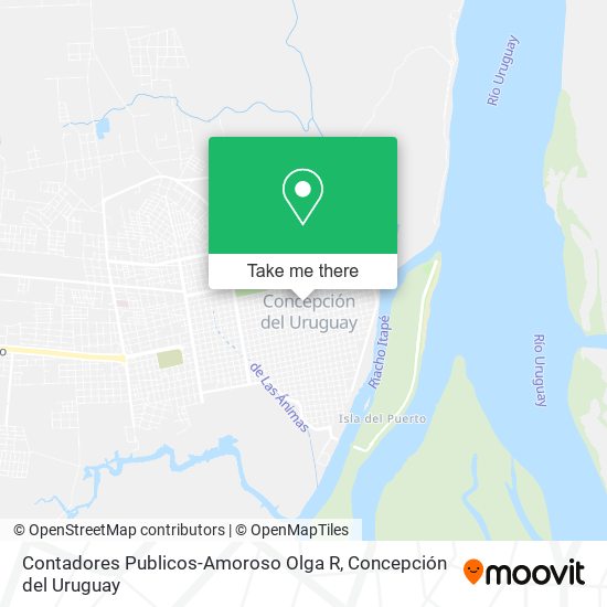 Contadores Publicos-Amoroso Olga R map
