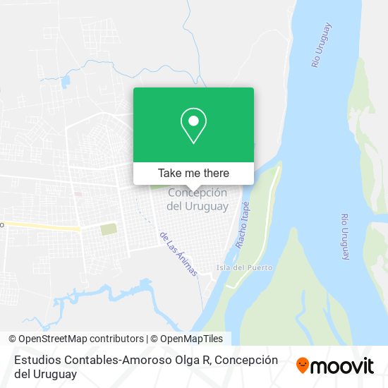 Estudios Contables-Amoroso Olga R map