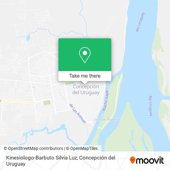 Mapa de Kinesiologo-Barbuto Silvia Luz