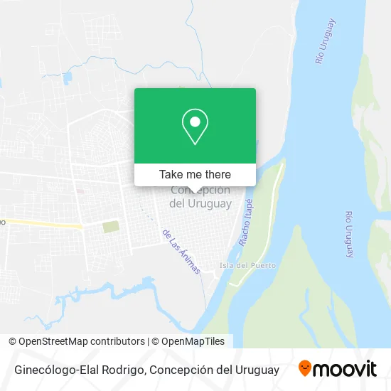 Mapa de Ginecólogo-Elal Rodrigo