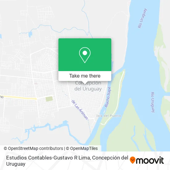 Mapa de Estudios Contables-Gustavo R Lima
