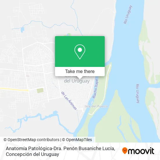 Mapa de Anatomía Patológica-Dra. Penón Busaniche Lucía