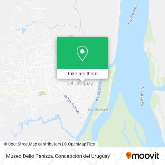 Museo Delio Panizza map