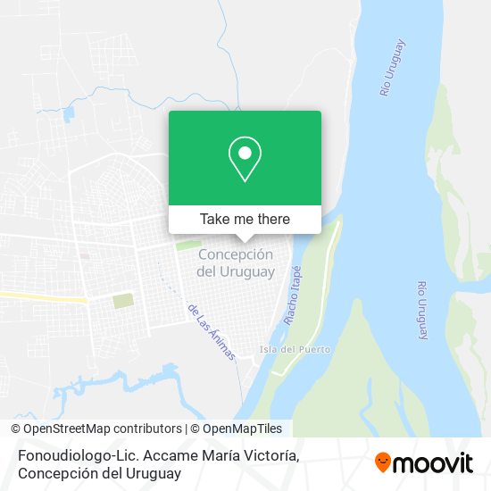 Fonoudiologo-Lic. Accame María Victoría map