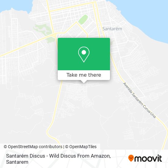 Santarém Discus - Wild Discus From Amazon map