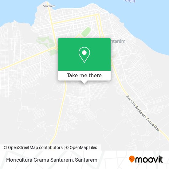 Floricultura Grama Santarem map