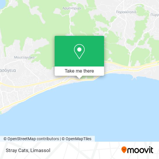 Stray Cats map