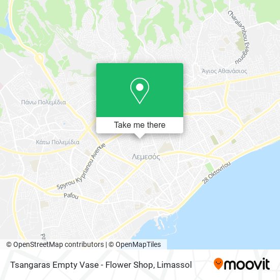 Tsangaras Empty Vase - Flower Shop map