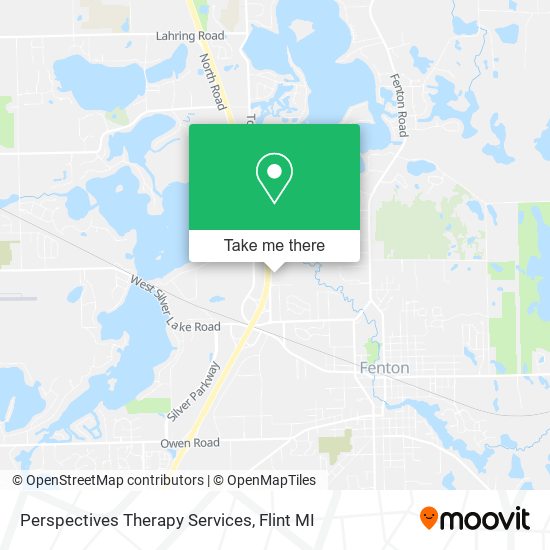 Mapa de Perspectives Therapy Services