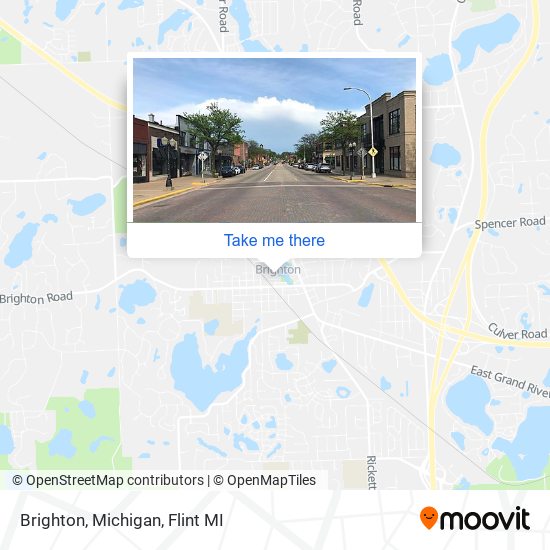 Brighton, Michigan map