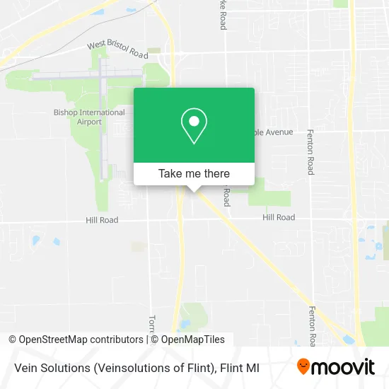 Vein Solutions (Veinsolutions of Flint) map