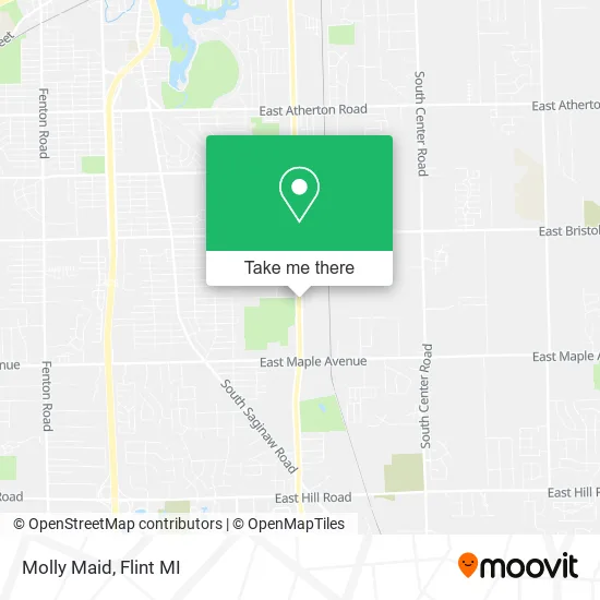 Molly Maid map