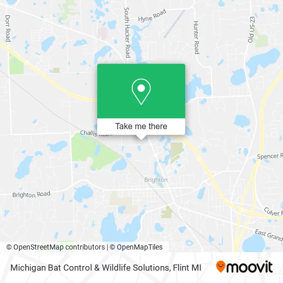 Mapa de Michigan Bat Control & Wildlife Solutions