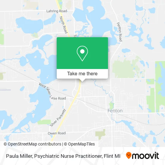 Mapa de Paula Miller, Psychiatric Nurse Practitioner