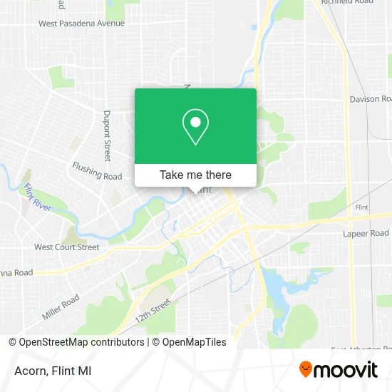 Acorn map