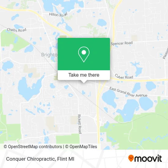 Conquer Chiropractic map