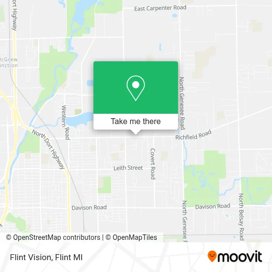Flint Vision map