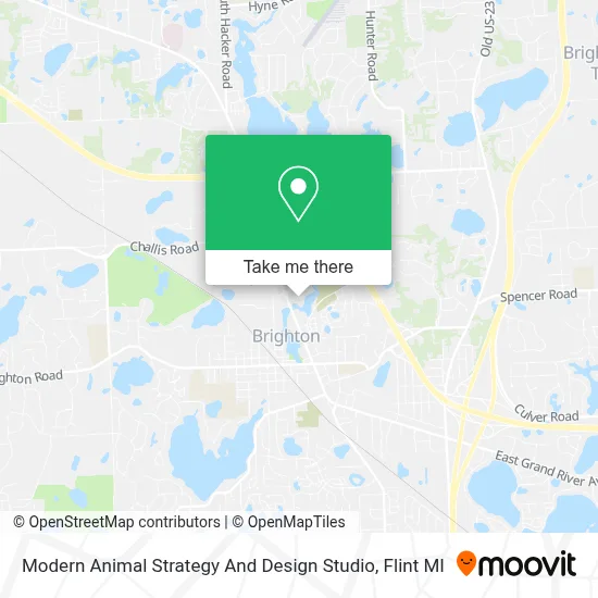 Modern Animal Strategy And Design Studio map