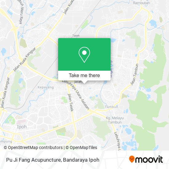 Peta Pu Ji Fang Acupuncture