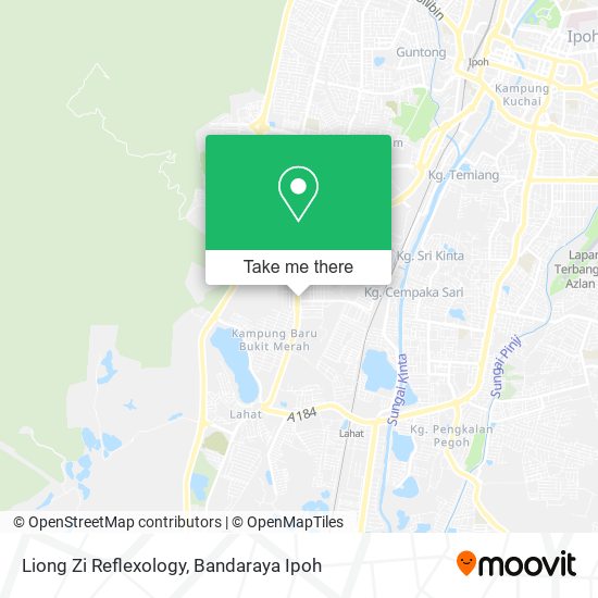 Liong Zi Reflexology map
