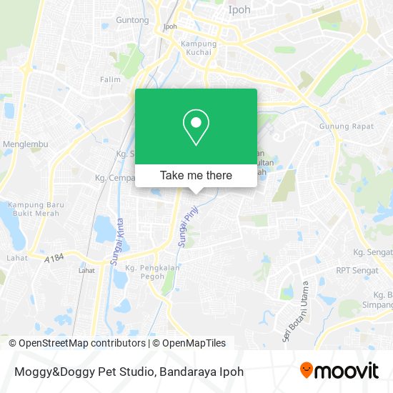 Peta Moggy&Doggy Pet Studio