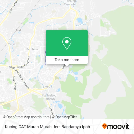 Kucing CAT Murah Murah Jerr map