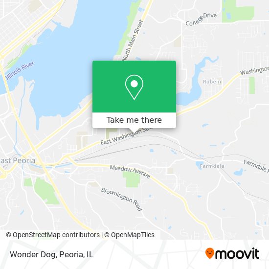 Wonder Dog map