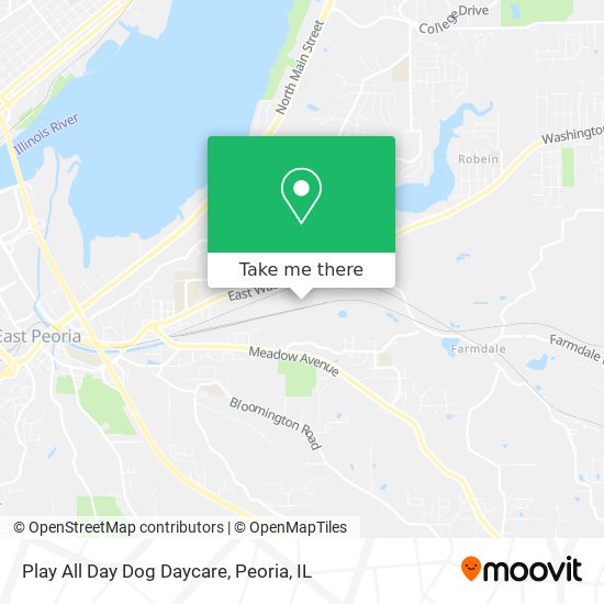 Play All Day Dog Daycare map