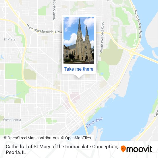 Cathedral of St Mary of the Immaculate Conception map