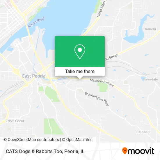 CATS Dogs & Rabbits Too map